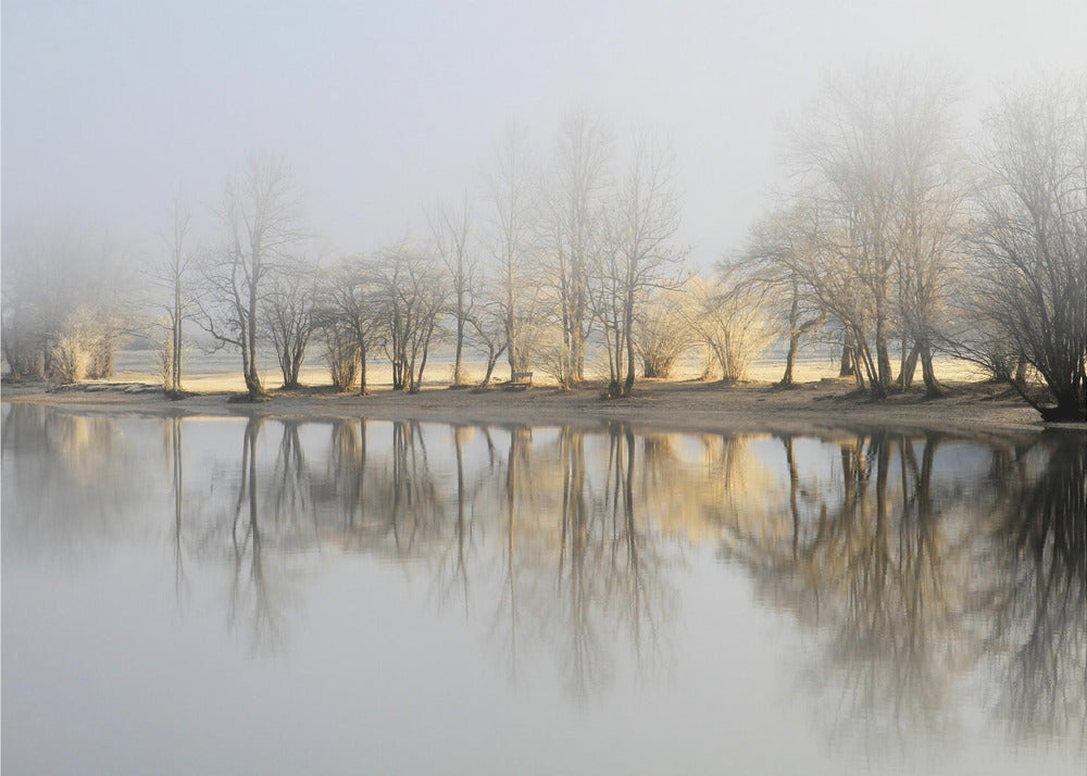 Wall art january morning-3